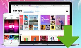 Apple Musicをダウンロードできない問題の対策